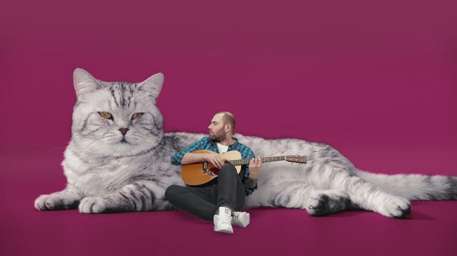 Котозависимость