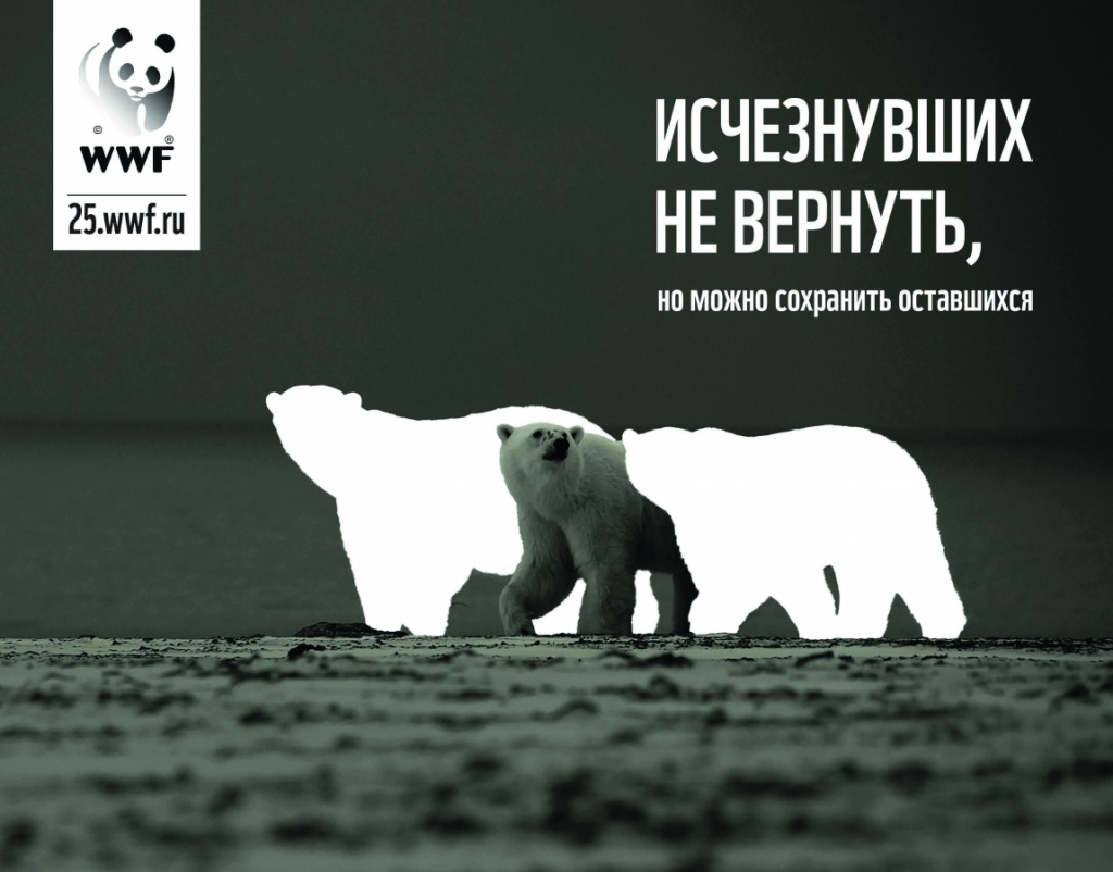 исчезнувшие.jpg